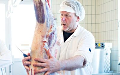 Nettkurs: Nedskjæring og egenskaper til enkeltmuskler i storfe og andre dyreslag